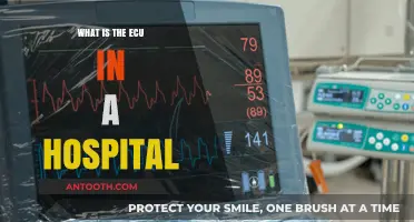 Understanding the ECU: Hospital Edition