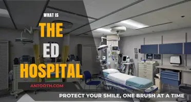Understanding ED Hospitals: A Comprehensive Guide to Emergency Care