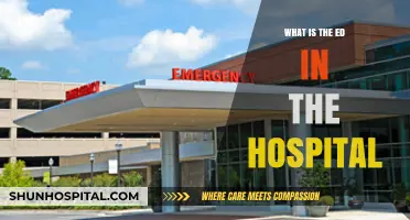 Exploring the ED: What's the Emergency Department's Role?