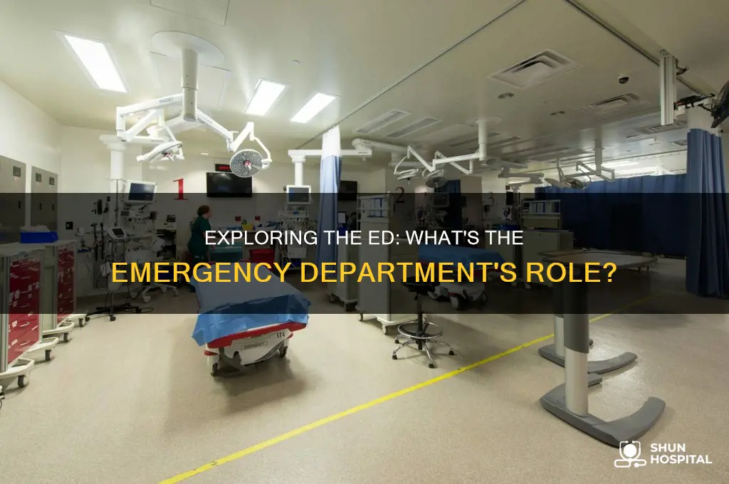 what is the ed in the hospital