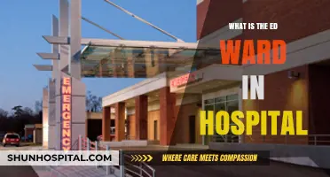 Understanding the ED Ward: A Hospital's Frontline