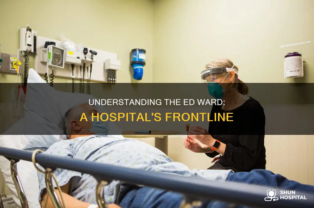 what is the ed ward in hospital