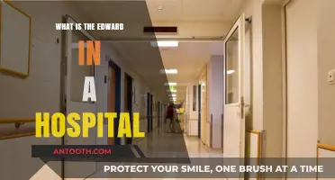The ED: A Hospital's Lifeline