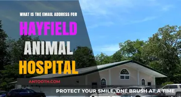 Contact Hayfield Animal Hospital: Find Their Email Address Here