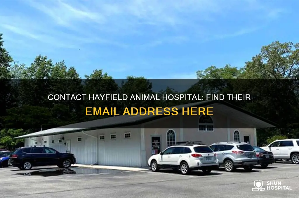what is the email address for hayfield animal hospital