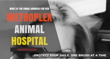 Contact VCA Metroplex Animal Hospital: Find Their Email Address Here