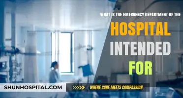 Understanding the Emergency Department: Purpose and Critical Care Services