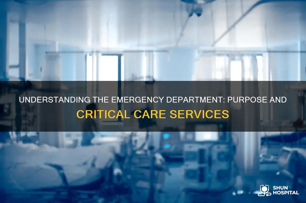 what is the emergency department of the hospital intended for