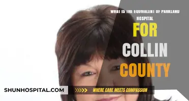 Collin County's Parkland Equivalent: Exploring Healthcare Access and Services