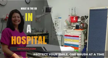 Understanding the ER: Saving Lives, One Patient at a Time