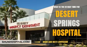Desert Springs Hospital ER Wait Time: What to Expect