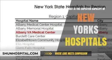 New York Hospitals' Expected Capacity: Challenges and Preparedness