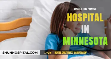 Top-Rated Minnesota Hospitals: Where to Go for Care