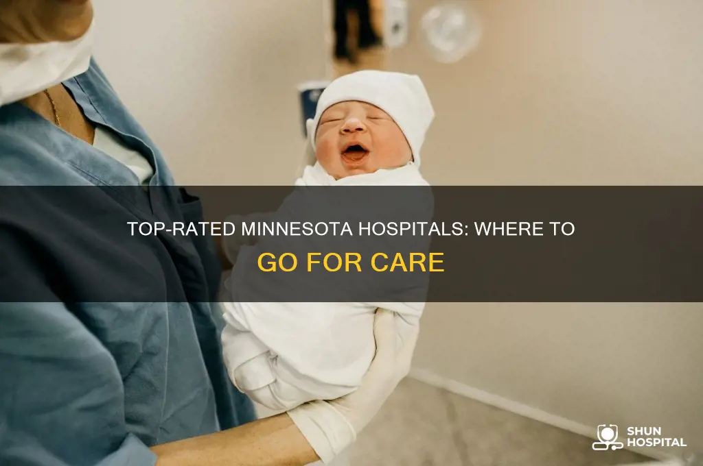 what is the famous hospital in minnesota