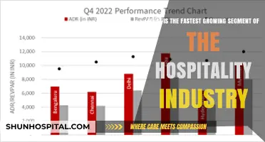 Exploring the Fastest Growing Segment in Today's Hospitality Industry