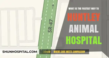 Quickest Route to Huntley Animal Hospital: Directions and Tips