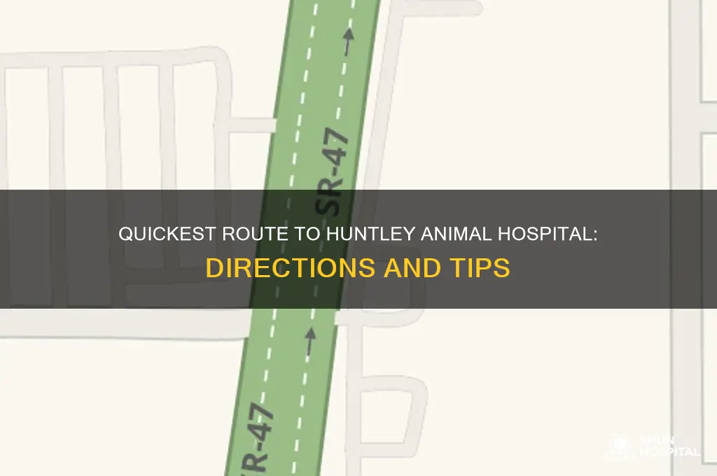 what is the fastest way to huntley animal hospital