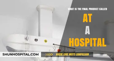 Understanding the Final Product Name in Hospital Healthcare Services