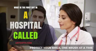 Unveiling the First Day in Hospital: Orientation and Essentials Explained