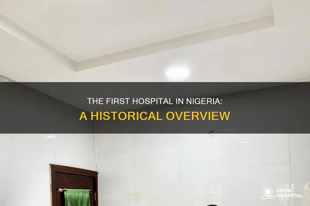 what is the first hospital in nigeria