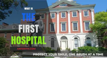 Exploring the Origins: The World's First Hospital Unveiled