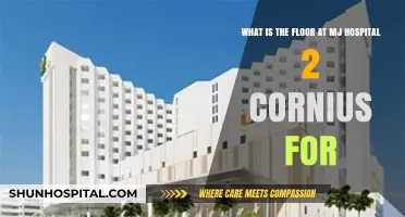 Understanding the Purpose of Floor 2 at MJ Hospital Cornius