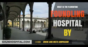 The Story of Florence's Foundling Hospital