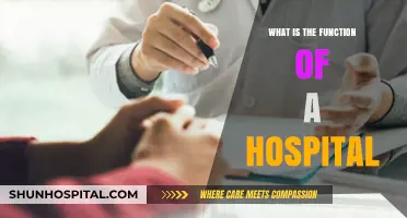 Hospital's Core Function: Healing and Caring for the Sick