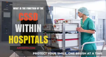 Understanding the Critical Role of CSSD in Hospital Sterilization