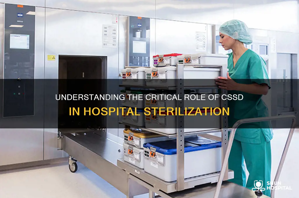 what is the function of the cssd within hospitals