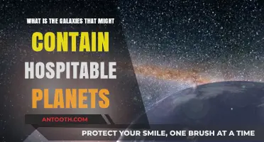 Exploring Galaxies with Potential for Habitable Exoplanets and Life