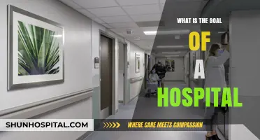 The Ultimate Goal of Hospitals: Saving Lives, Improving Health