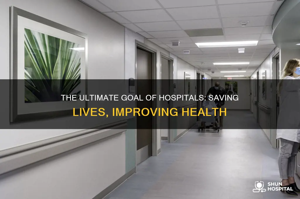 what is the goal of a hospital