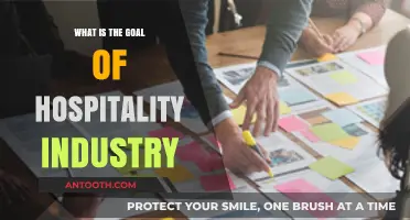 Hospitality Industry: Creating Comfortable and Memorable Guest Experiences