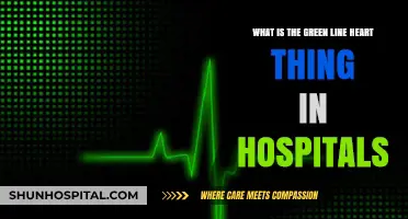 Understanding the Green Line Heart Monitor in Hospitals: A Quick Guide