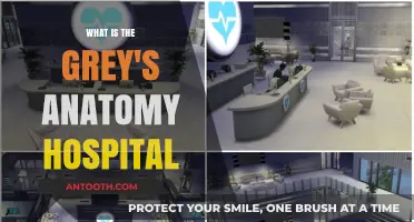 Grey Sloan Memorial: Anatomy of a Hospital