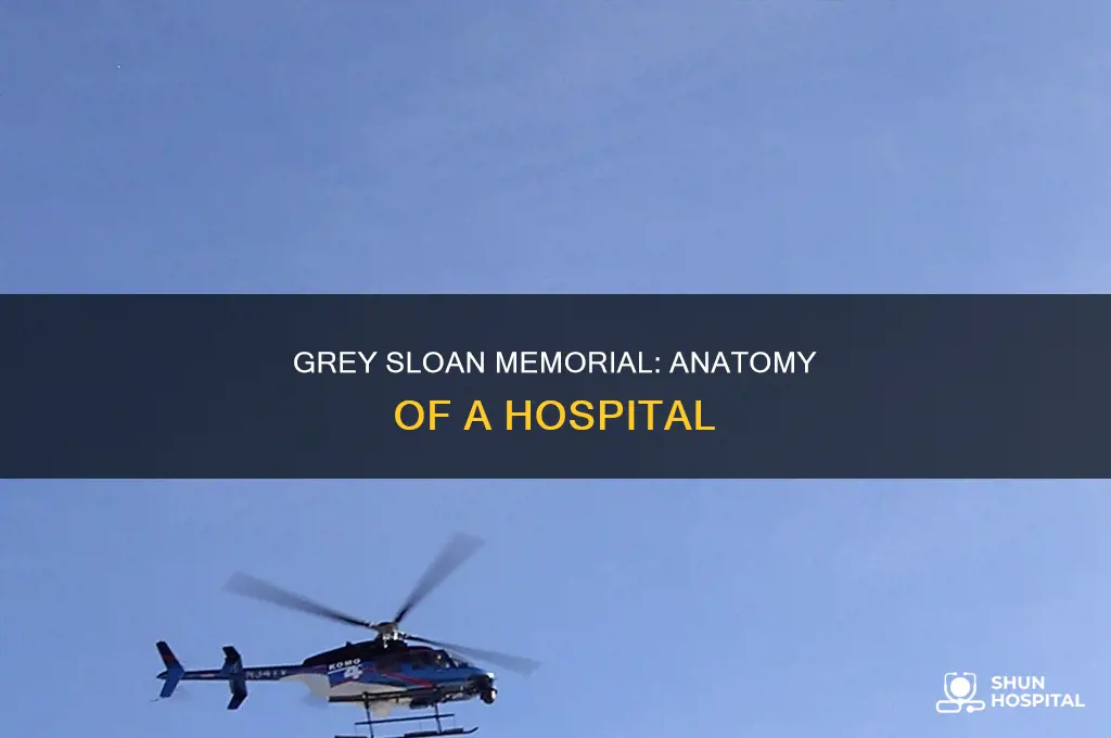 what is the grey