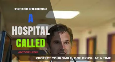 Understanding the Role: What is the Head Doctor at a Hospital Called?