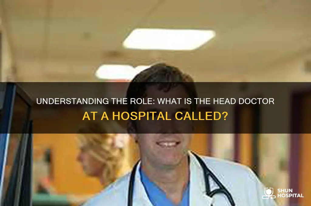 what is the head doctor at a hospital called
