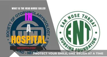 Understanding the Role: What is the Head Nurse Called in a Hospital?