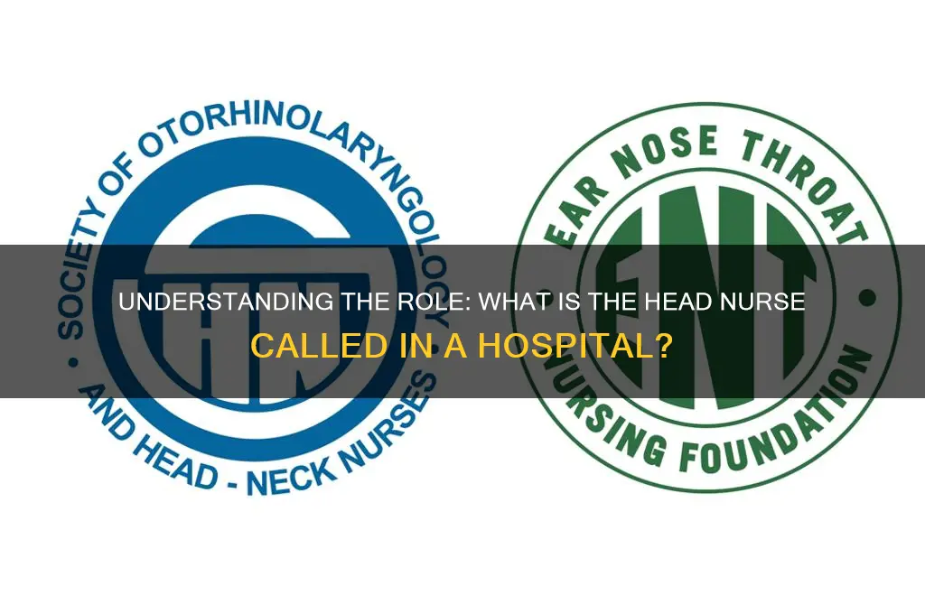 what is the head nurse called in a hospital