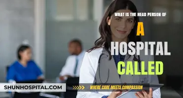 Understanding the Role: Who is the Head Person of a Hospital?