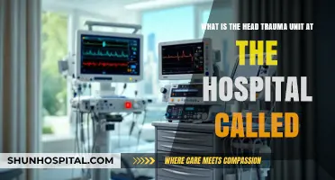 Understanding the Specialized Hospital Unit for Head Trauma Treatment