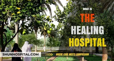 Exploring the Concept of Healing Hospitals: A Comprehensive Guide