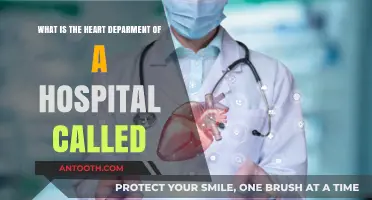 Understanding the Heart Department: What Is It Called in Hospitals?