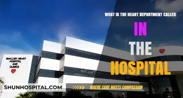 Understanding the Heart Department: What It's Called in Hospitals