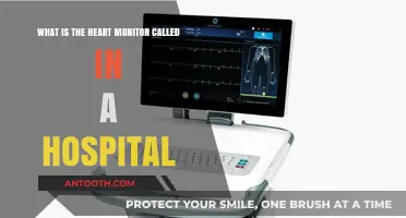 Understanding the Hospital Heart Monitor: What is an ECG Machine?