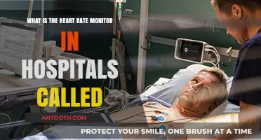 Understanding the Hospital Heart Rate Monitor: Its Name and Function