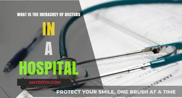 Understanding the Hospital Doctor Hierarchy: Roles and Responsibilities Explained