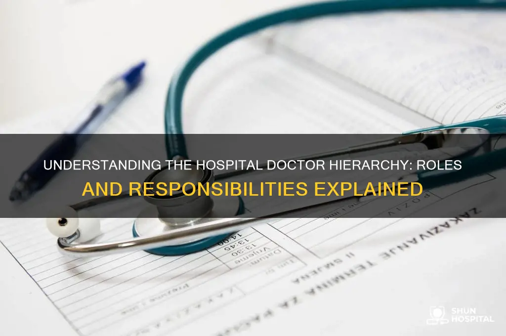 what is the hierachey of doctors in a hospital